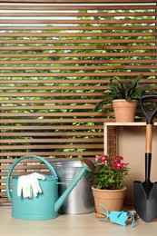 Gardening tools and houseplants on wooden table