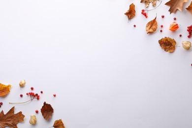 Dry autumn leaves and berries on white background, flat lay. Space for text