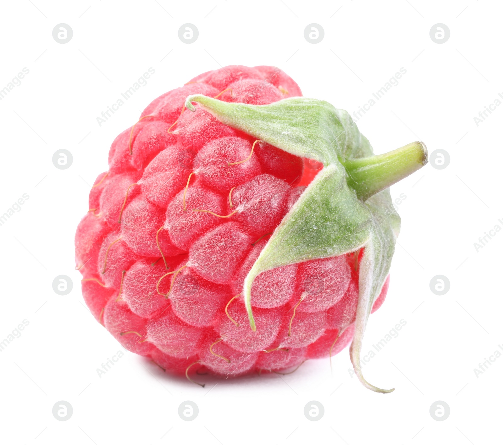 Photo of One tasty ripe raspberry isolated on white