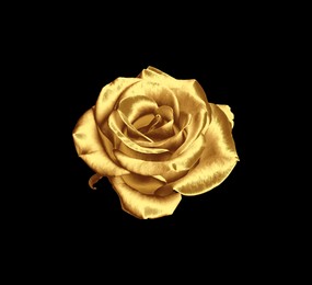 Image of Amazing shiny golden rose on black background