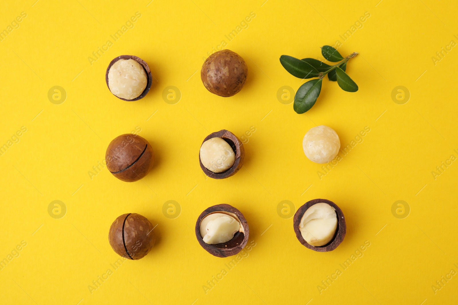 Photo of Tasty Macadamia nuts and green twig on yellow background, flat lay