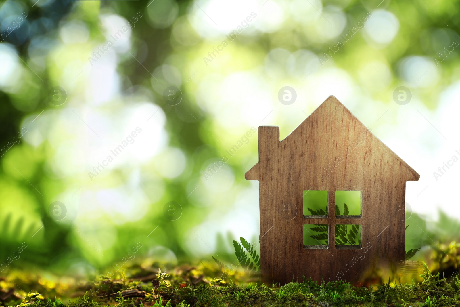 Image of Eco friendly home. House model on green grass outdoors, space for text