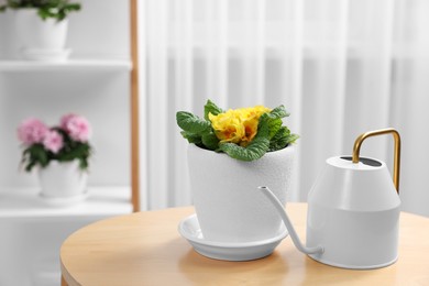 Photo of Beautiful primrose plant in flower pot and watering can on wooden table in room, space for text