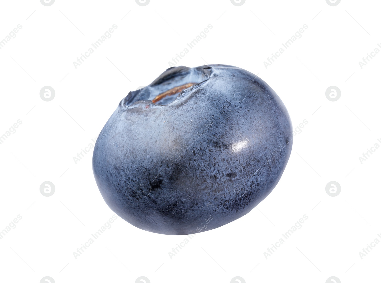 Photo of One fresh ripe blueberry isolated on white