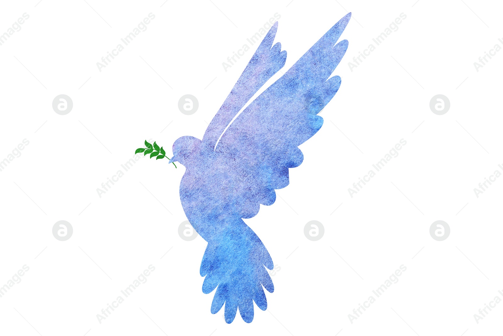 Illustration of Silhouette of dove holding tree branch drawn with watercolor paint on white background