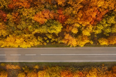 Beautiful aerial view of autumn forest crossed by asphalt road