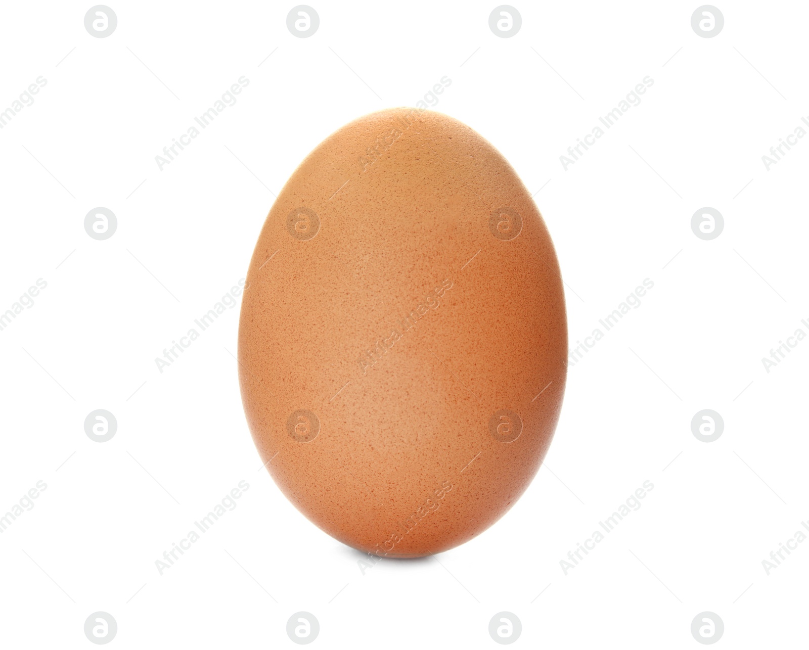 Photo of Raw brown chicken egg on white background