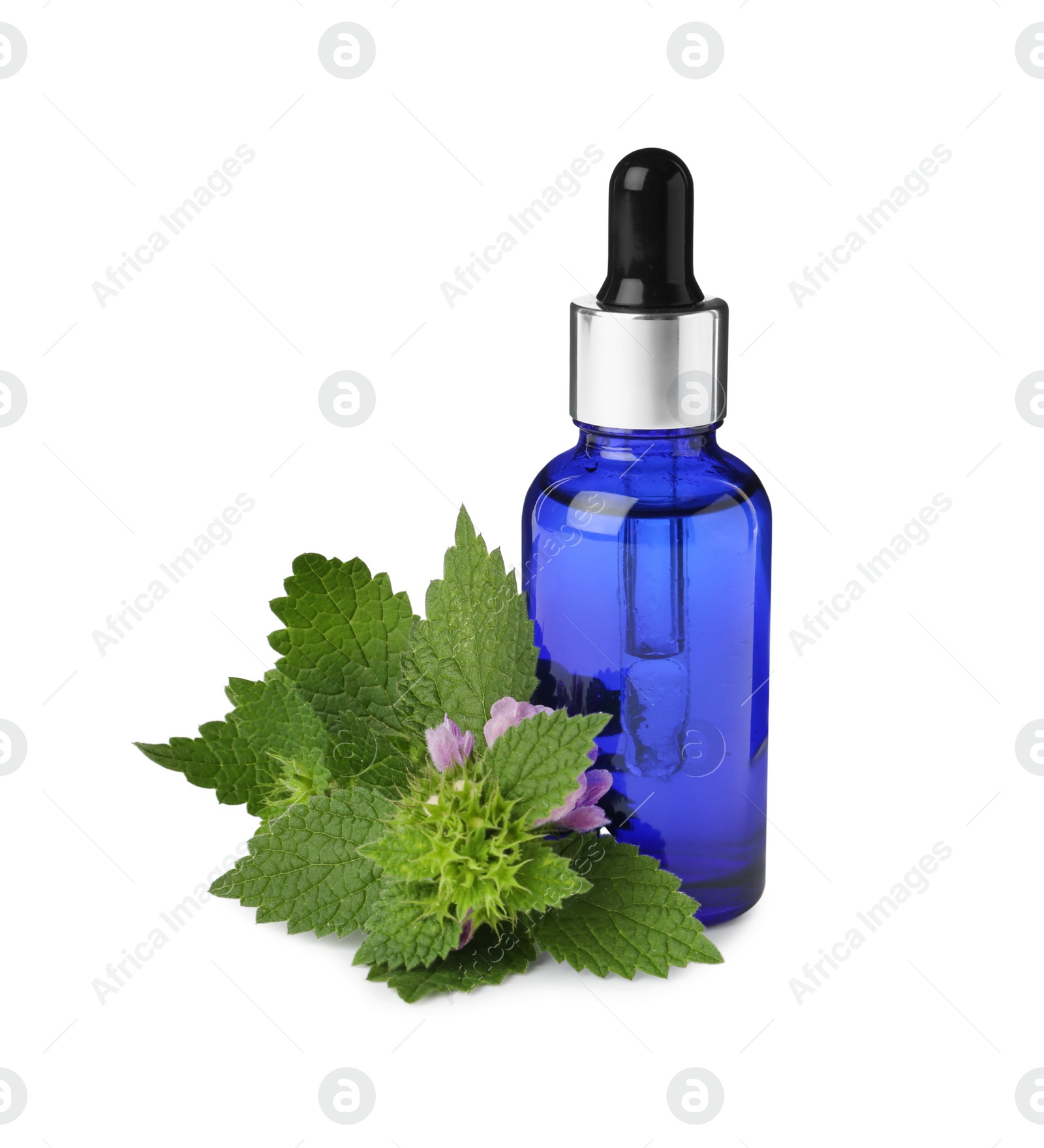 Photo of Glass bottle of nettle oil with dropper and leaves isolated on white