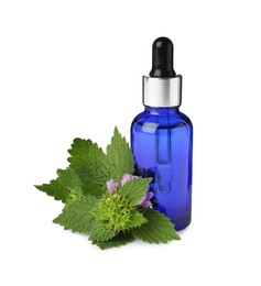 Glass bottle of nettle oil with dropper and leaves isolated on white
