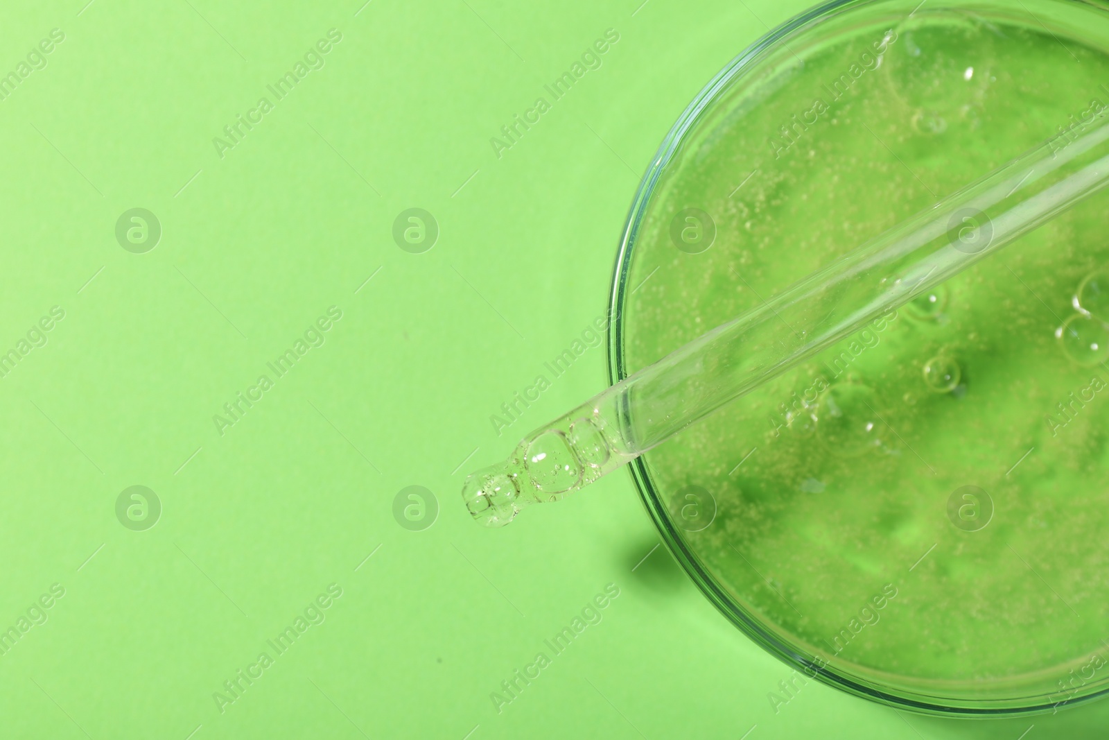 Photo of Petri dish with liquid sample and pipette on green background, top view. Space for text