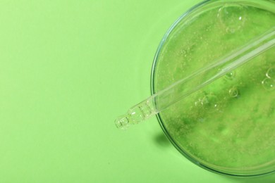 Photo of Petri dish with liquid sample and pipette on green background, top view. Space for text