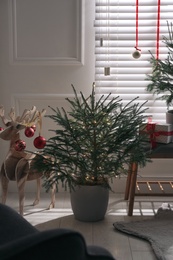 Beautiful room interior decorated with potted firs