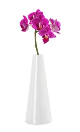 Photo of Orchid branch with beautiful flowers in vase on white background