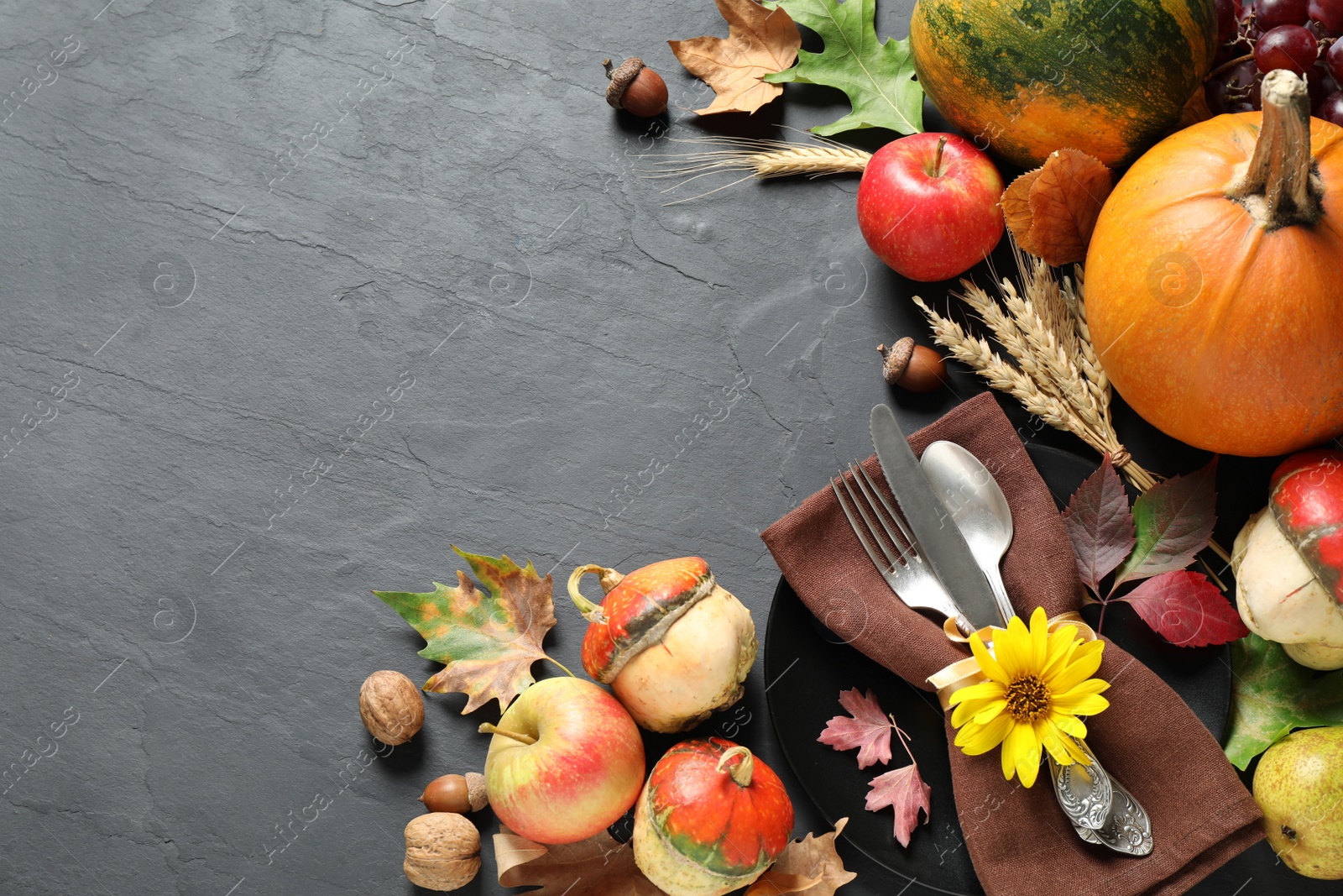 Photo of Autumn fruits, vegetables and cutlery on grey background, space for text. Happy Thanksgiving day