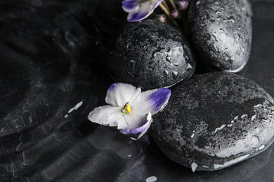 Photo of Stones and flowers in water on dark background. Zen lifestyle