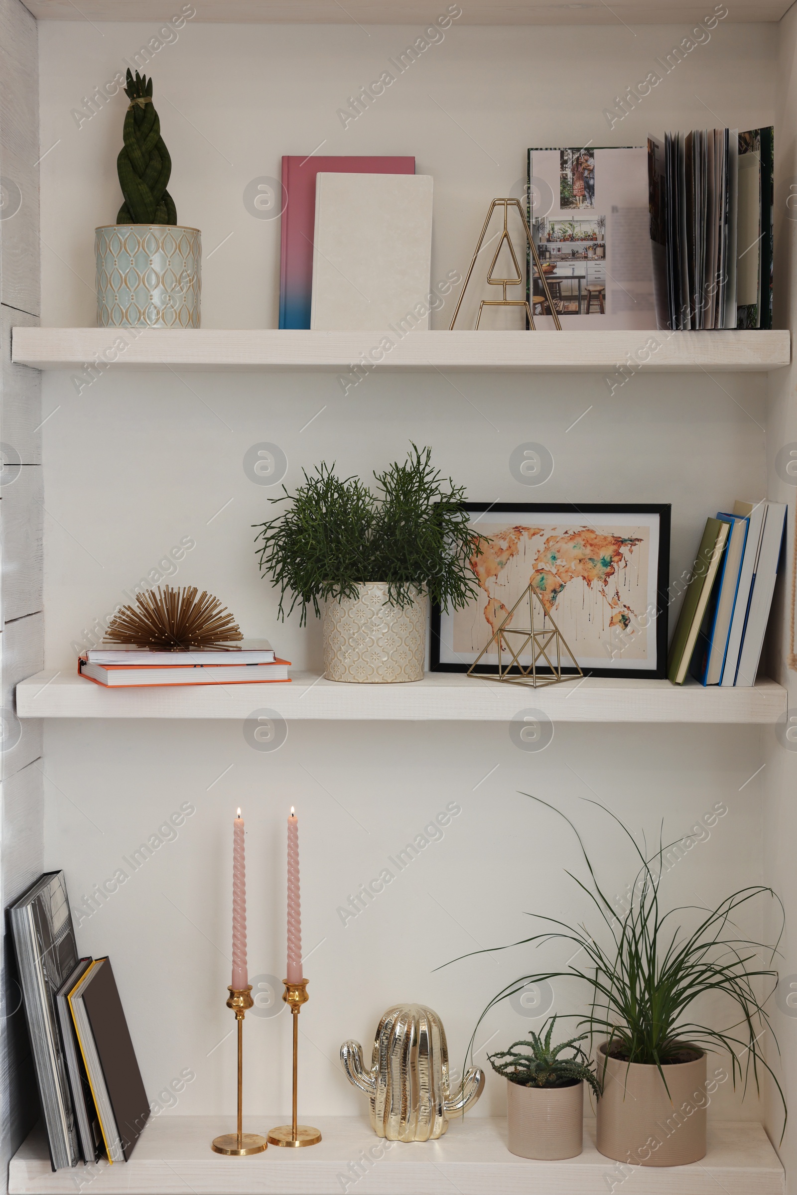 Photo of Beautiful green plants and different decor on shelves indoors. Interior design