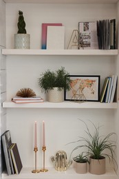 Beautiful green plants and different decor on shelves indoors. Interior design