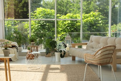 Indoor terrace interior with comfortable furniture and houseplants