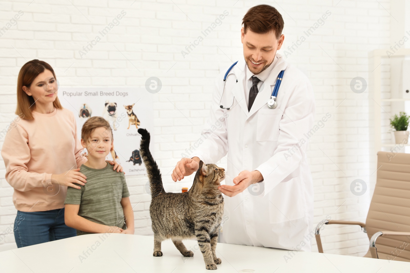 Photo of Mother and son with their pet visiting veterinarian in clinic. Doc examining cat