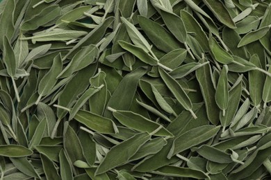 Photo of Fresh green sage leaves as background, top view