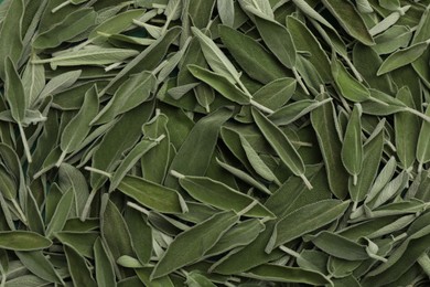 Fresh green sage leaves as background, top view