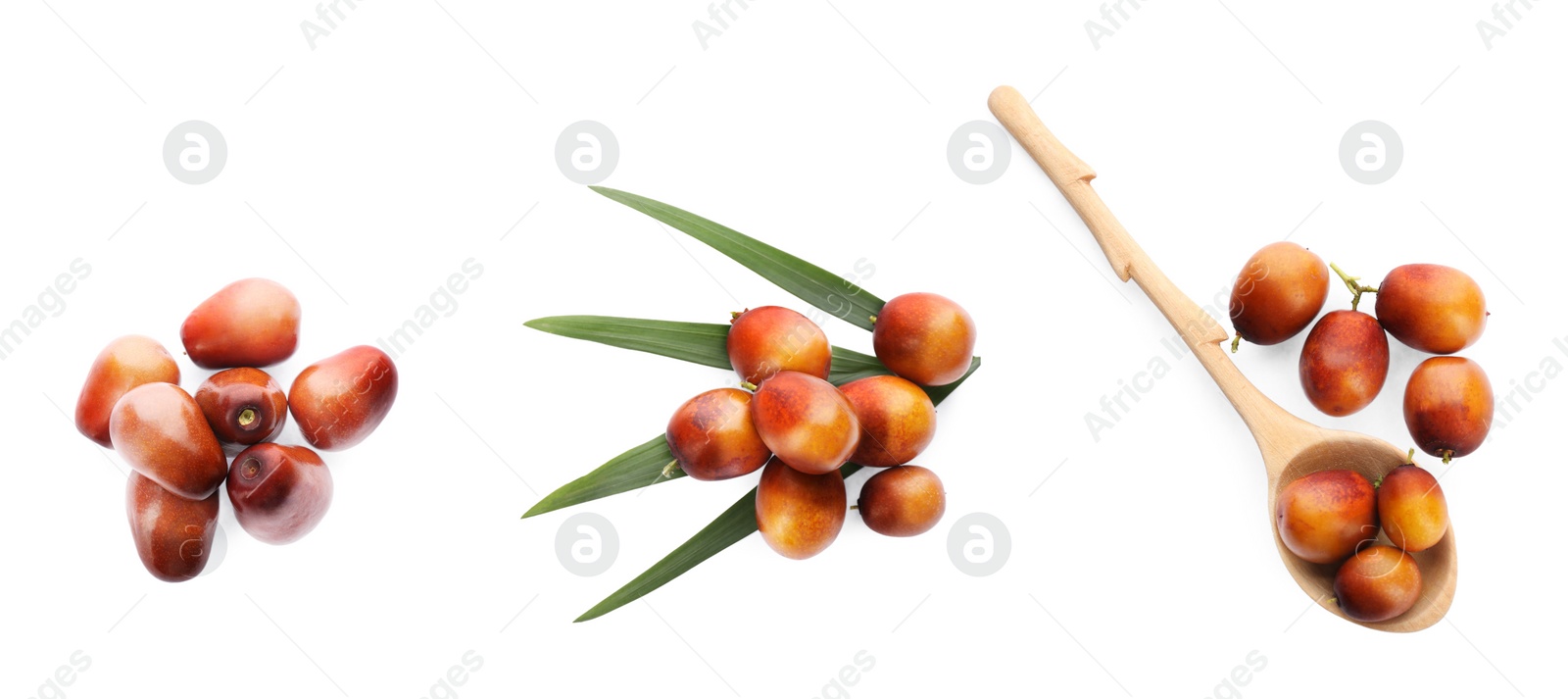 Image of Set with fresh ripe palm oil fruits on white background, top view. Banner design