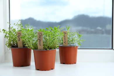 Photo of Different fresh potted herbs on windowsill indoors. Space for text