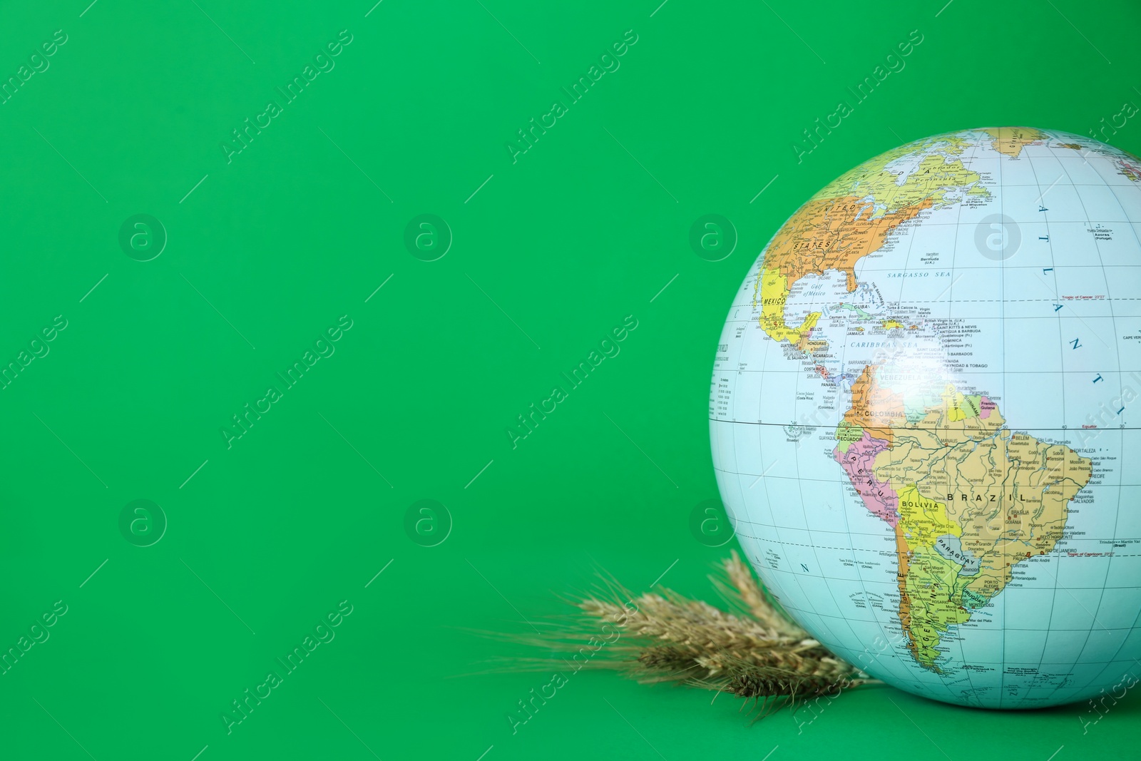 Photo of Globe with wheat spikelets on green background, space for text. Hunger crisis concept