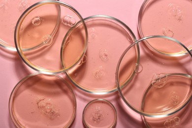 Photo of Petri dishes with liquid samples on pink background, flat lay
