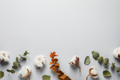 Photo of Fluffy cotton flowers and leaves on light grey background, flat lay. Space for text