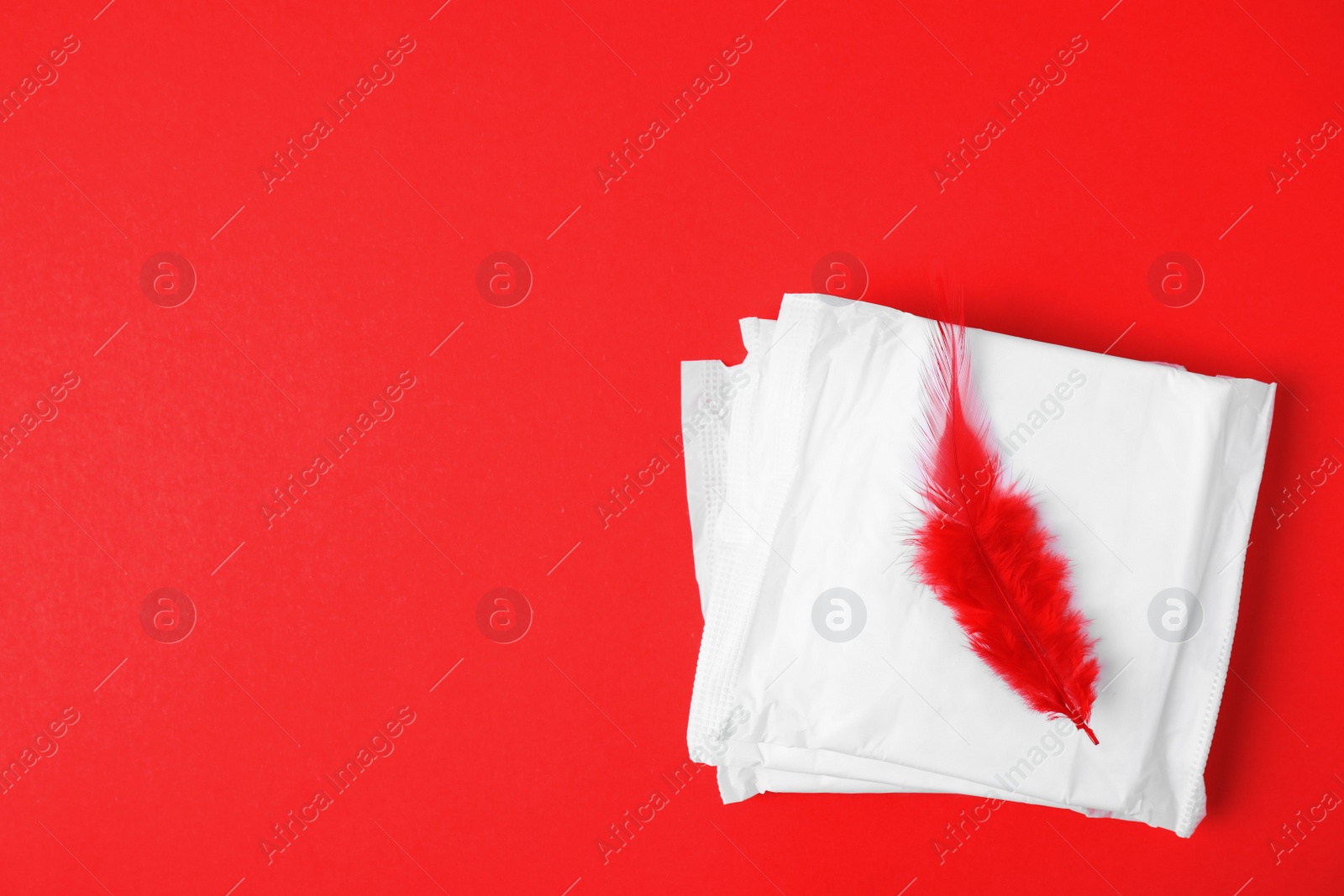 Photo of Packed menstrual pads and red feather on color background, flat lay with space for text. Gynecological care