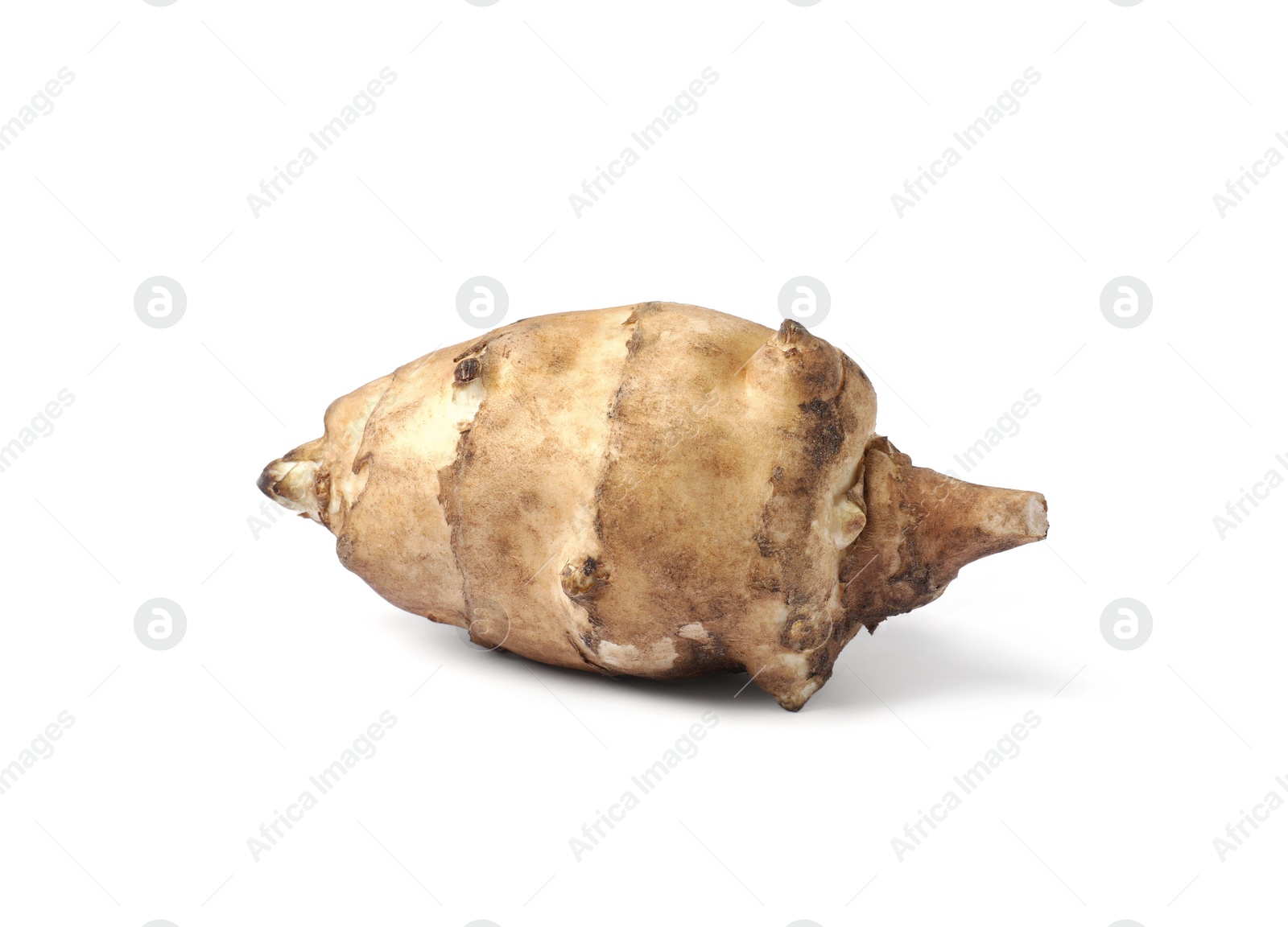 Photo of One raw Jerusalem artichoke isolated on white