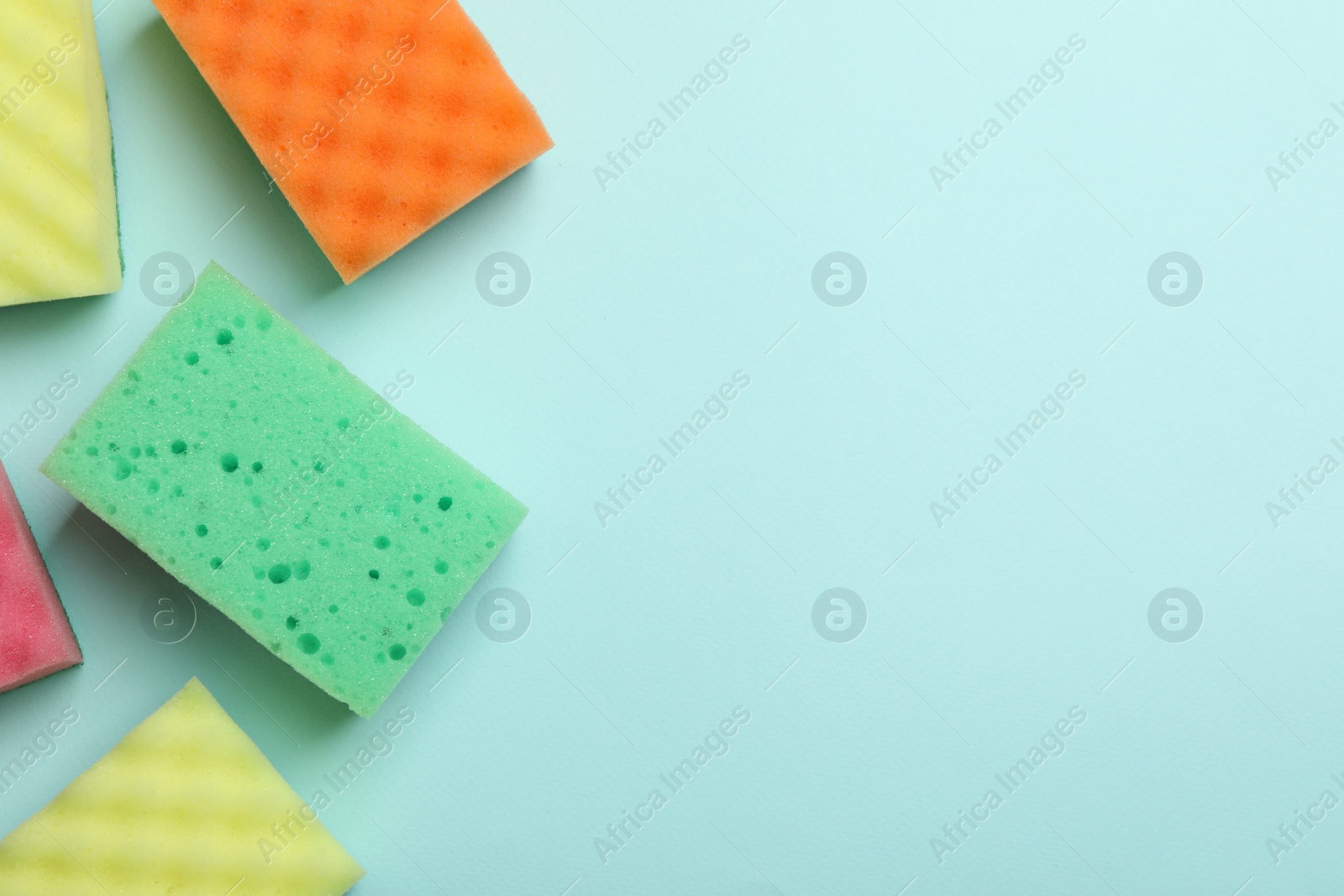 Photo of Many different sponges on light blue background, flat lay. Space for text