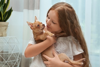 Photo of Cute little child with her Chihuahua dog at home. Adorable pet