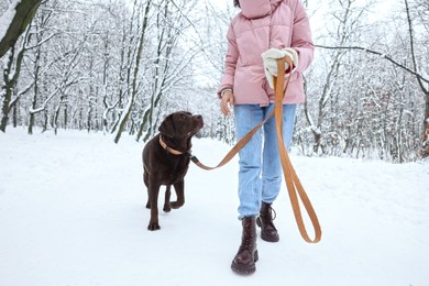 Photo of Woman walking with adorable Labrador Retriever dog in snowy park, closeup