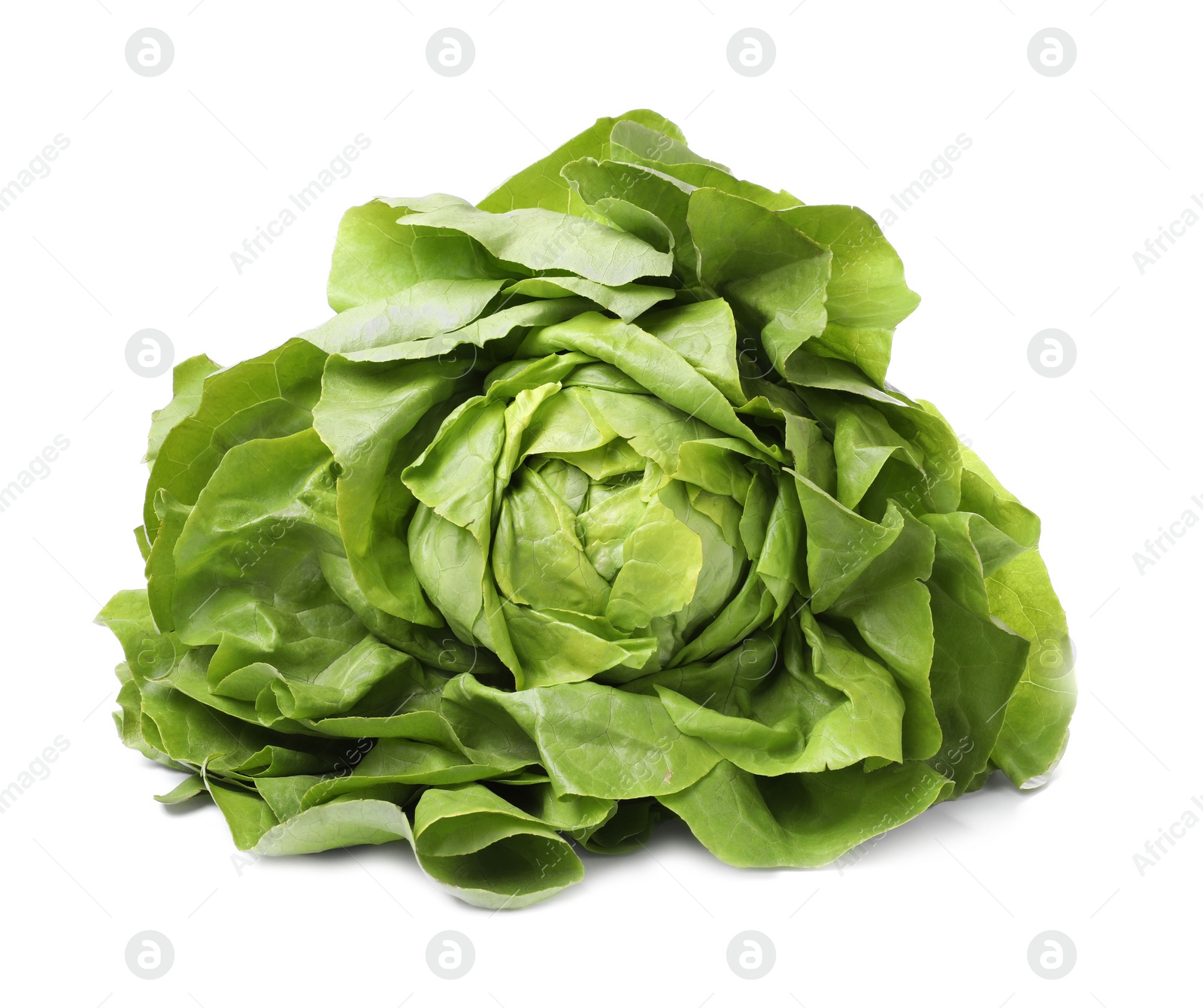 Photo of Fresh green butter lettuce head isolated on white