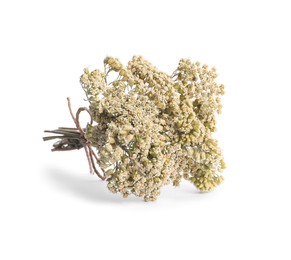 Photo of Bunch of dry yarrow flowers isolated on white