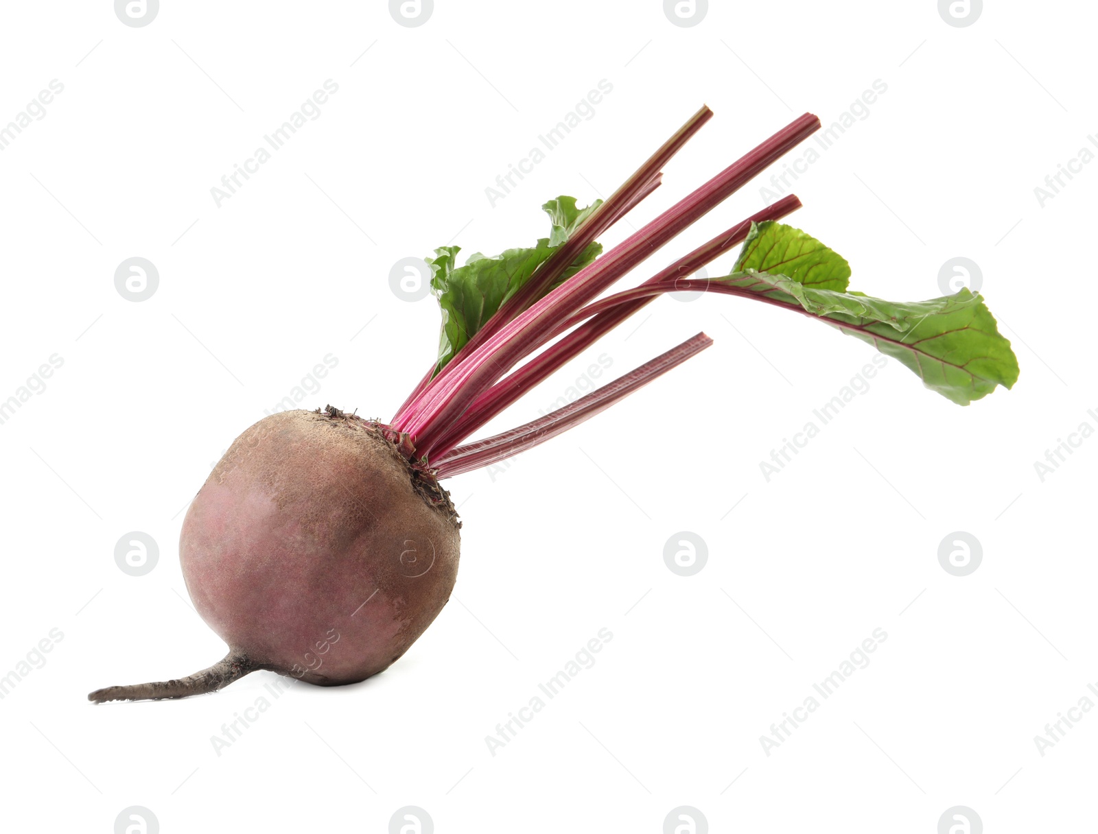 Photo of Raw ripe beet with stems isolated on white