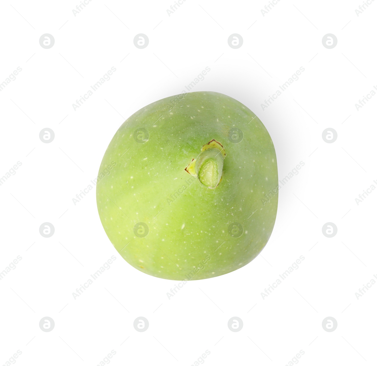 Photo of One fresh green fig isolated on white, top view