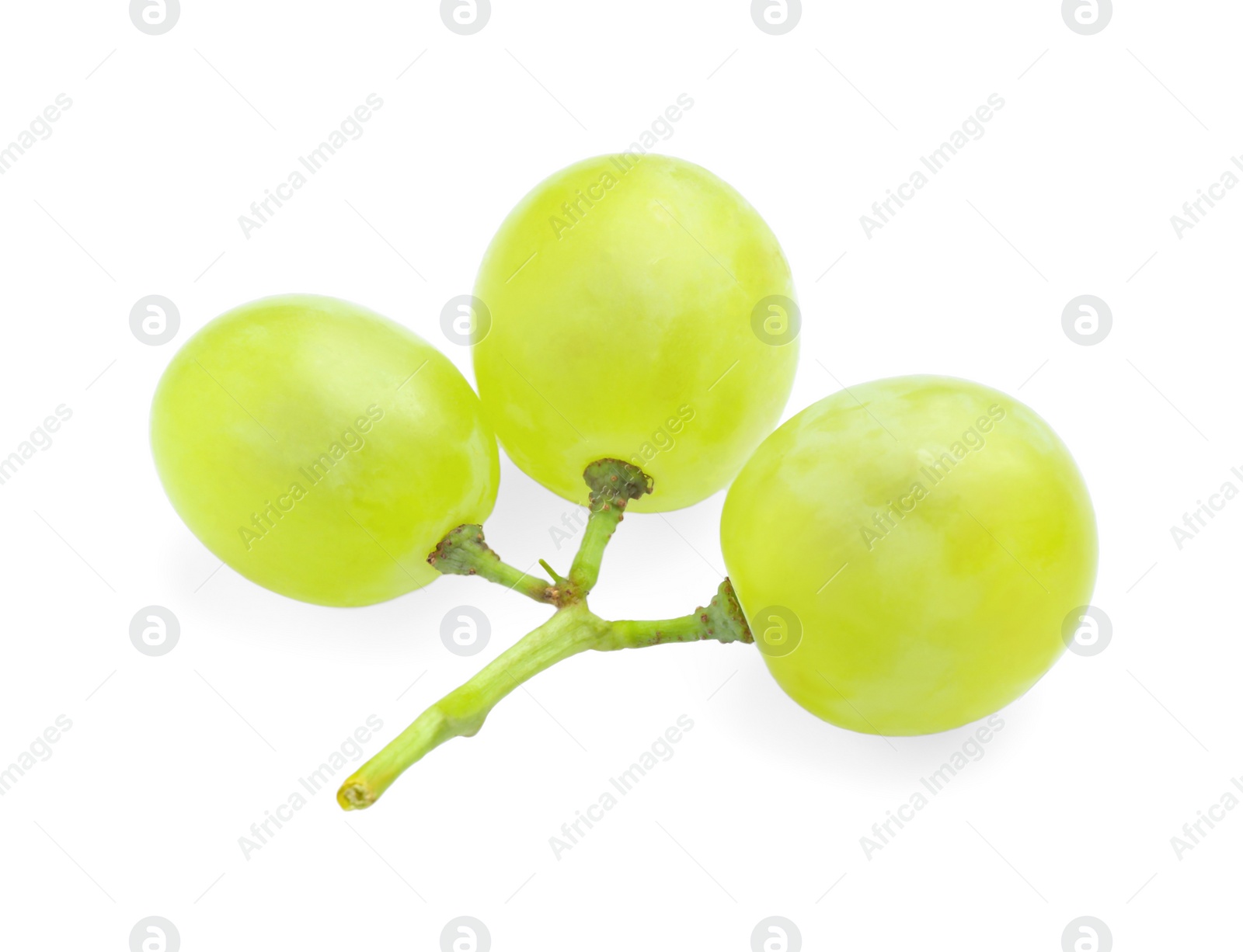 Photo of Fresh ripe juicy grapes isolated on white