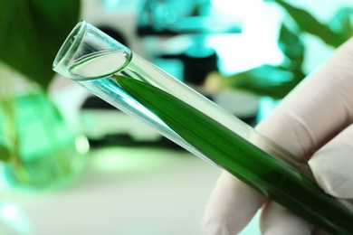 Photo of Lab assistant holding test tube with leaf on blurred background, closeup. Plant chemistry