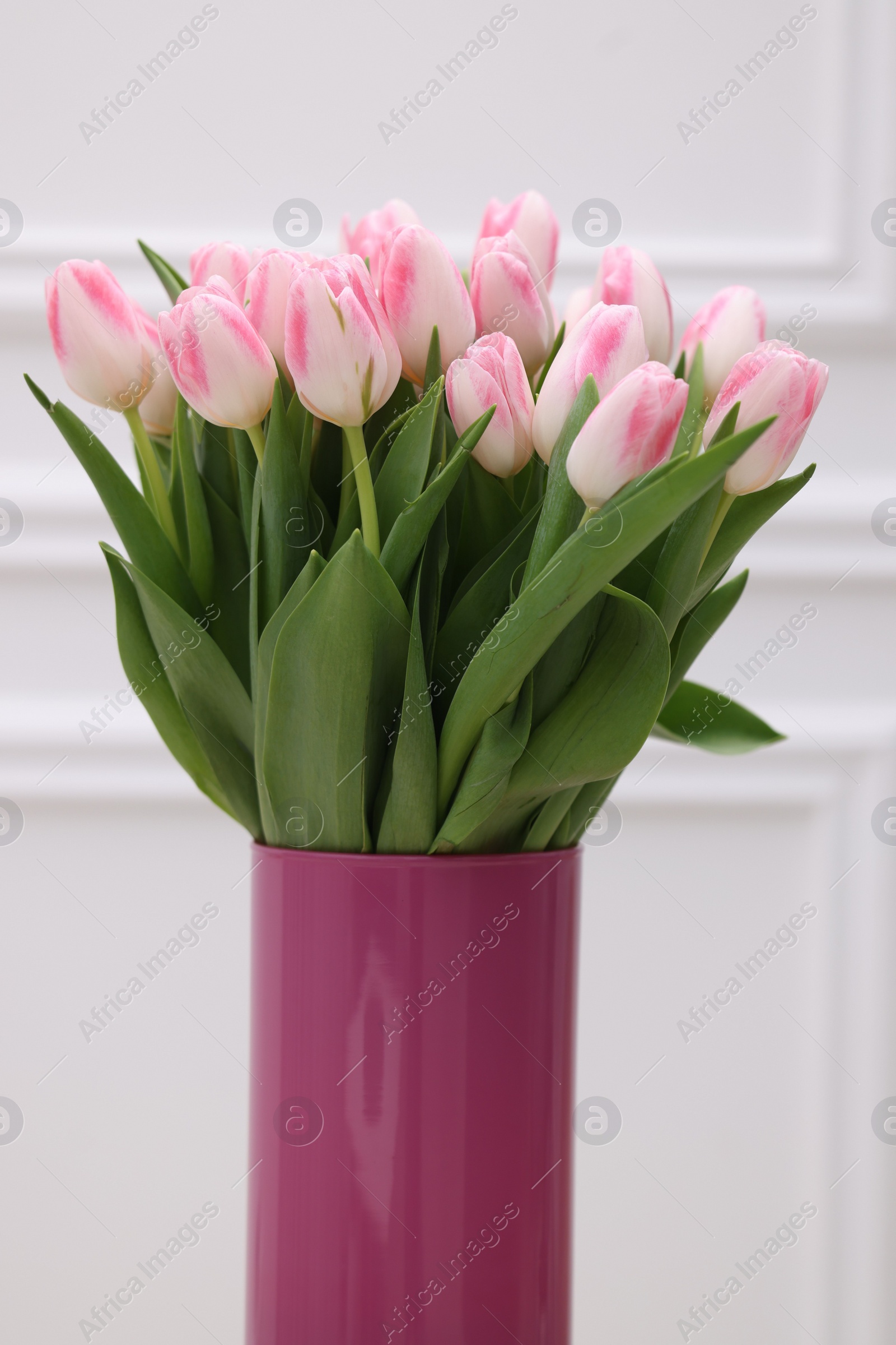 Photo of Beautiful bouquet of fresh pink tulips near white wall