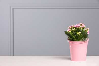 Photo of Beautiful potted kalanchoe flower on white table near grey wall, space for text
