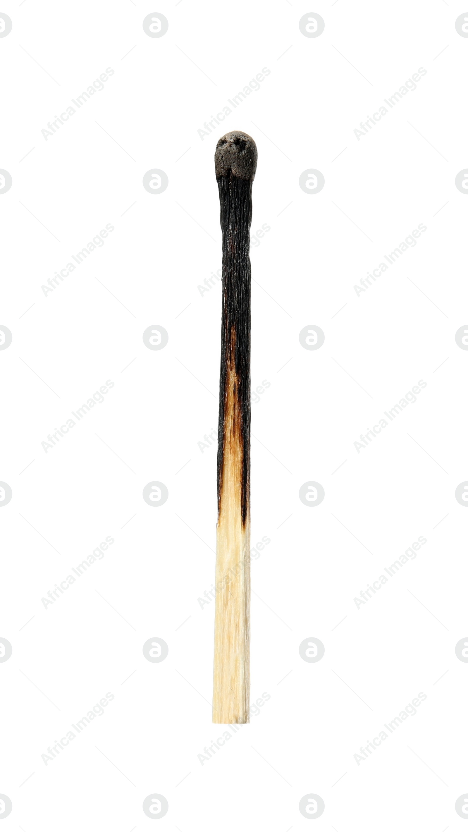 Photo of One burnt match isolated on white. Tool for starting fire