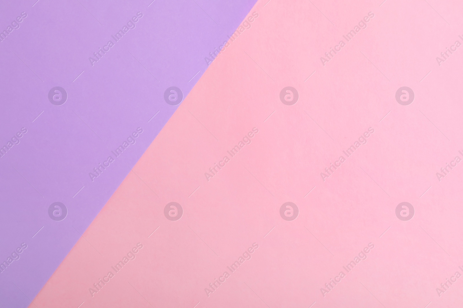 Photo of Violet and pink paper sheets as colorful background, top view