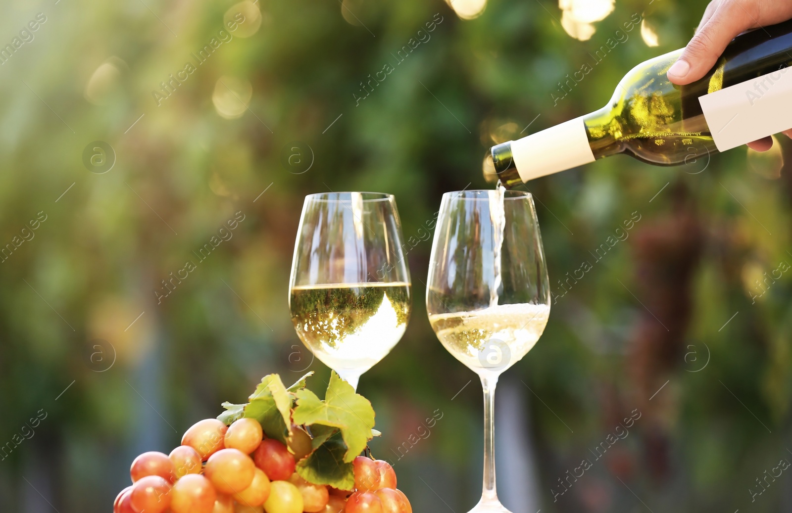 Photo of Man pouring white wine into glass on table outdoors