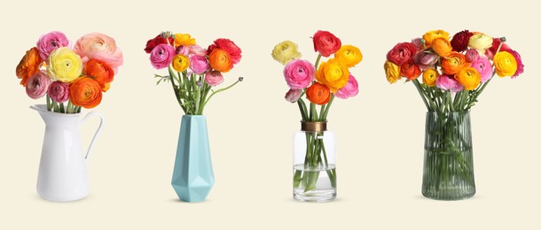 Image of Collage of stylish vases with beautiful ranunculus bouquets on beige background. Banner design