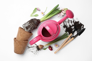 Composition with gardening equipment on white background, top view