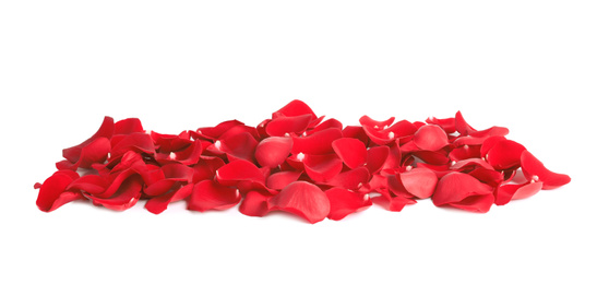 Pile of red rose petals on white background