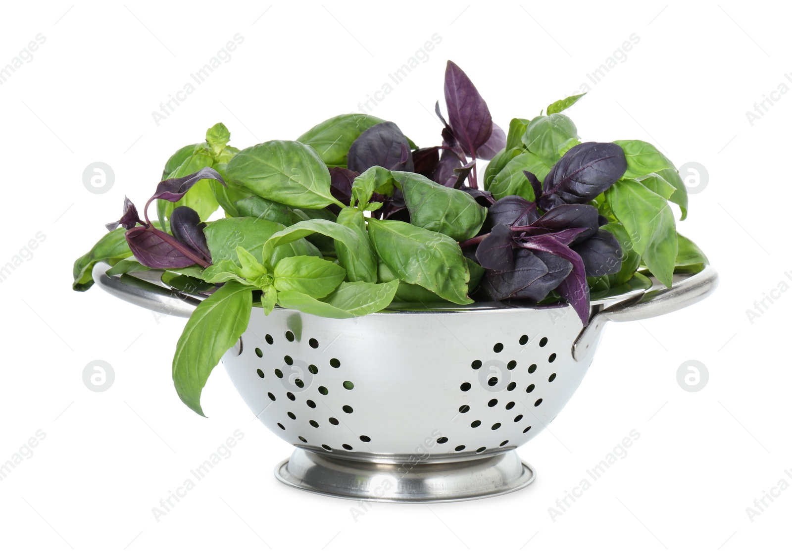 Photo of Metal colander with fresh basil leaves isolated on white